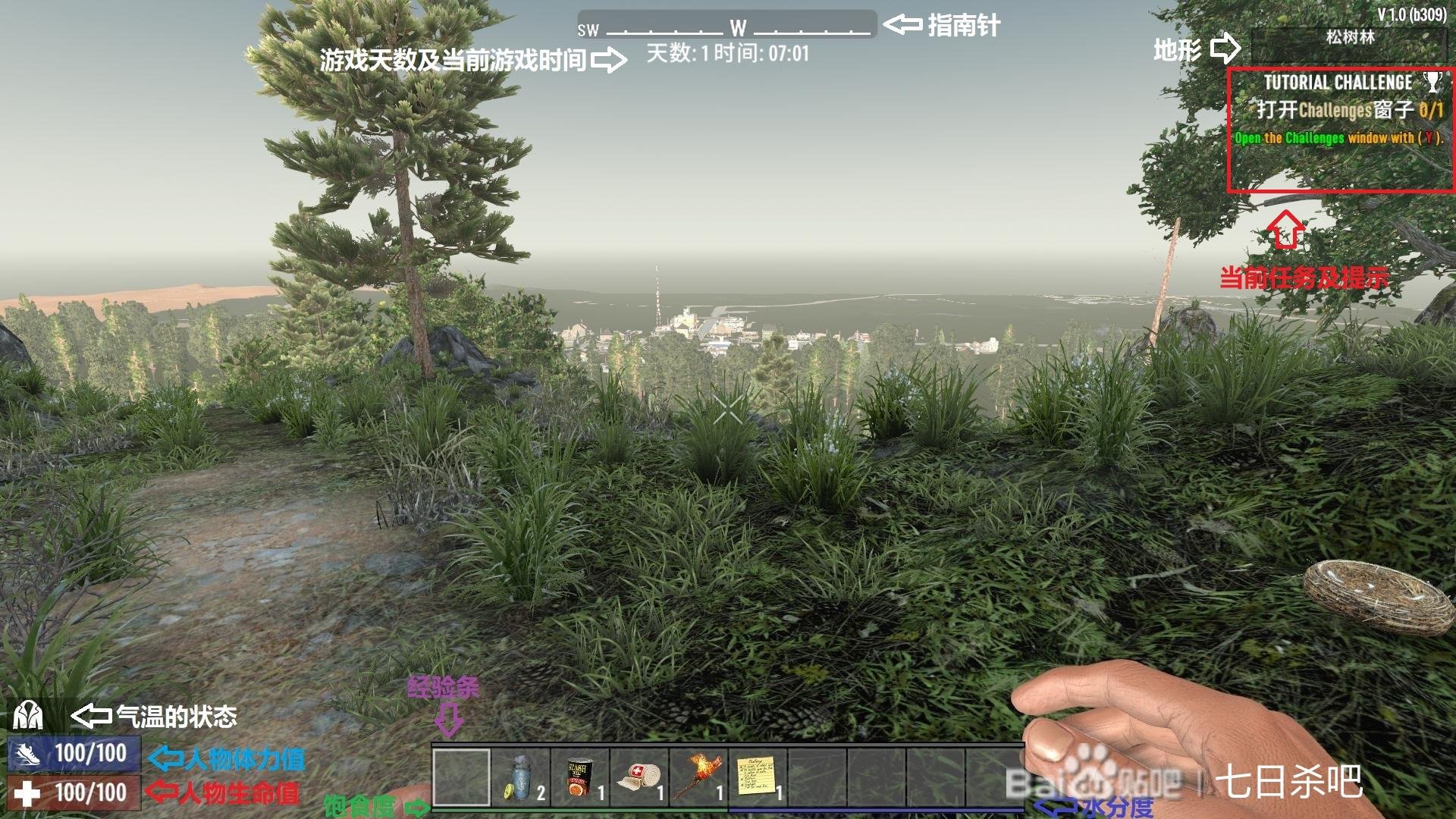 只狼:影逝二度 截图9